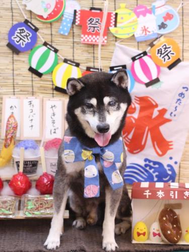 20240723タロくん